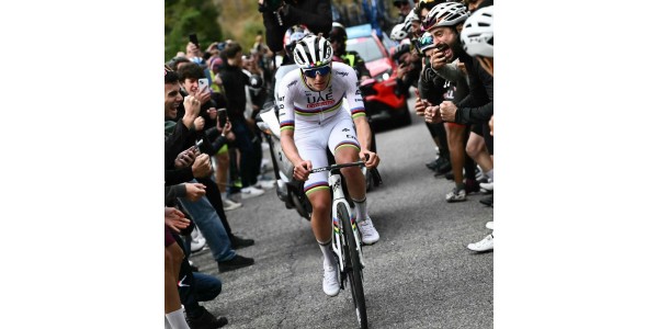 Dit jaar is een oogstjaar voor het UAE-team en de vooruitzichten van het team voor volgend jaar Dit jaar is een oogstjaar voor het UAE-team en de vooruitzichten van het team voor volgend jaar